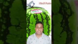 जापान में चौकोर तरबूज कैसे उगाये जाते हैं ? HOW TO GROW SQUARE SHAPED WATERMELON | Prabhat Rajput