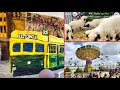 Explore Australia Royal Melbourne Show | Annual Agricultural and Entertainment Event