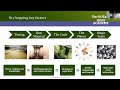 Dry Hopping - The Right Timing (Brew Asia Technical Session)