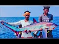 Searching For Monster Thresher Shark Fishing In Deep // Offshore Handline Fishing