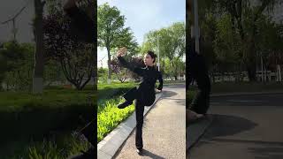 Tai Chi |跨越千年的传承，舞动中华文化的千古风韵 #taichi #kungfu #taichiquan  #功夫 #太极  #太极拳 #太极教学 #taichitutorial #marti