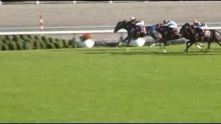 【競馬】　第51回京都大賞典(G2)　2016.10.10　キタサンブラック＆武豊勝利騎手インタビュー