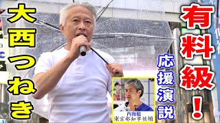 チャット欄に絶賛の嵐！大西つねき「いま世界で起きている事」/ #内海聡   街頭演説 2024/6/30 新宿 #うつみさとる #うつみん#東京都知事選