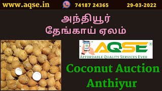 அந்தியூர் தேங்காய் ஏலம் | नारियल बिक्री समाचार | Coconut Rate at Anthiyur | Daily Agri Market News