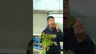 Aquaponics鱼菜共生离不开大家支持肯定啊