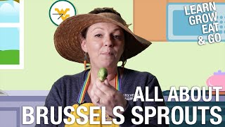 "Learn, Grow, Eat & Go" – Season 3 – Brussels Sprouts
