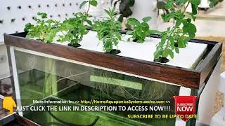 SIZING AN AQUAPONICS SYSTEM