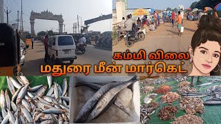 New Whole Sale Fish Market in Madurai/New business ideas👍2022/Madurai Mattuthavanini FishMarket Tour