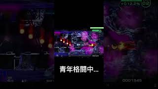 R-type 配信切り抜きより