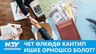 NewTV// Чет өлкөдө кантип ишке орношсо болот? // Ачык айкын