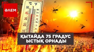 Қытайда 75 градус ыстық орнады | Әлем