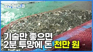 지나가는 물고기 떼를 2분 만에 그물로 떠버리는 놀라운 어부의 기술┃\