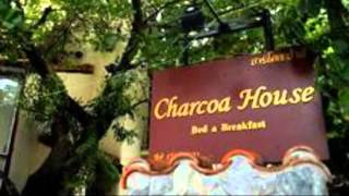 Charcoa House \u0026 Cozy Hotel Chiang Mai