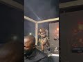 makhadzi energy live show