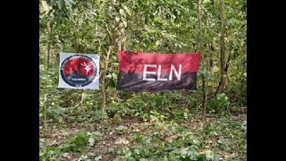 Enfrentamientos entre disidencias de las FARC y ELN en Cauca dejan un indígena muerto