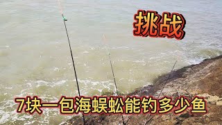 挑战7块一包海蜈蚣能钓多少鱼，这种钓法即省心鱼货也好