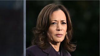 ‘No coherent message’: Democratic leaders scramble to find way forward after Harris loss