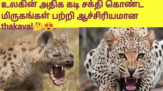 உலகின் அதிக கடி சக்தி கொண்ட மிருகங்கள்.#youtube