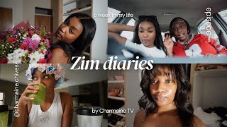 🇿🇼VLOG: A week of to-dos \u0026 downtime