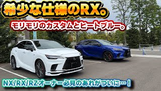 【稀少なRX】ついにきたヒートブルーのRX500h！そしててんこ盛りのカスタム仕様！純正で採用して欲しいイージークローザーも…！