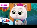 SuperKitties Su-Purr Adventures! | Bitsy's Transportation Tube Trouble | @disneyjr