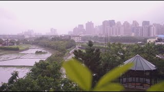 2021-08-07辛丑立秋雨濛濛