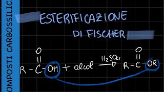 Esterificazione di Fischer meccanismo di reazione( acido carbossilico+alcol=estere)-chimica organica