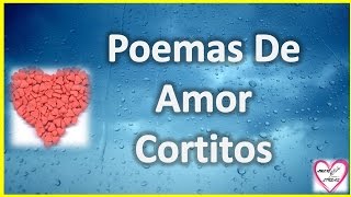 Poemas De Amor Cortitos Para Enamorar A Mi Novia