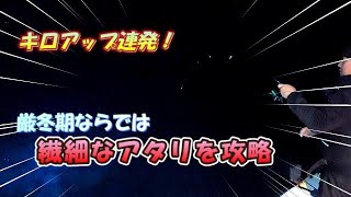 厳冬期ナイトティップラン【繊細なアタリを攻略】キロアップ連発の爆釣劇