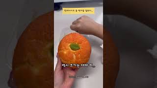 연세우유빵 시리즈 중 비쥬얼 최고, 칼로리도 최고,, [리뷰방앗간] #연세우유크림빵 #한라봉생크림빵 #먹방 #리뷰