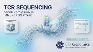 TCR Sequencing Explained: Decoding the Human Immune Repertoire 🧬