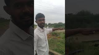 மணிமுத்தாறு 80 அடி கால்வாயின் மகத்துவம்#villagelifevibes #agriculture #trending #shortvideo