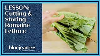 Lesson: Cutting and Storing Romaine | Blue Jean Chef