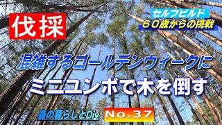 【No.37】60歳からの挑戦!!セルフビルドでログハウスを建てる／ミニユンボで気を倒す