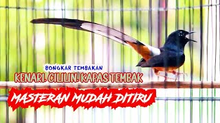 MASTERAN MURAI BATU BONGKAR ISIAN KAPAS TEMBAK KENARI DAN CILILIN