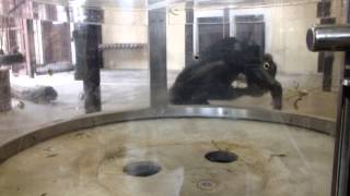 130303 池田動物園