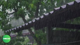 Relaxing Rain Sound On Metal Roof For Sleep: Rain Sounds for Sleeping, Rain Sounds, Rain, Meditation
