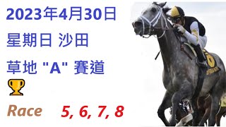 🏆「賽馬貼士」🐴2023年 4 月 30 日💰 星期日  😁 沙田 香港賽馬貼士💪 HONG KONG HORSE RACING TIPS🏆 RACE  5  6  7  8   😁