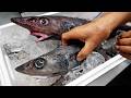 Japanese Food - ALIEN DEEP SEA FISH SASHIMI Shizuoka Seafood Japan