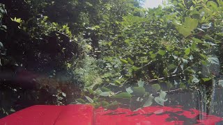 ジムニー林道　島根県雲南市～深野菅谷線～夏