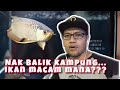 Tips Nak Tinggalkan Arowana/kelisa/arwana Sebelum Bercuti