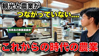 沖縄の離島の無農薬お米農家さんに農業について色々聞いてみた【日本旅 西表島編③】