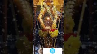 Muruga Perumal thuani #devotional #Tamil kadavla 🙏🙏🙏❤❤❤❤