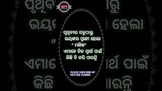 ପୃଥିବୀର ସବୁଠାରୁ ଭୟଙ୍କର ପ୍ରାଣୀ #shorts