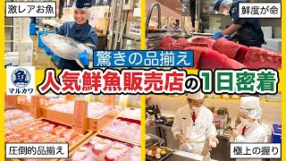 【株式会社マルカワ】まさにお魚天国！大阪の人気鮮魚販売店の1日に完全密着！【職場体験】