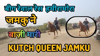 बीग रेवाल रेस जमकु ने बाजी मारी हमीरामोरा || BIG REWAL RACE KUTCH QUEEN JAMKU