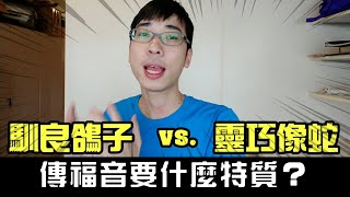 傳福音要哪些特質？如何能靈巧像蛇，馴良如鴿 @PAULCHENPOGI