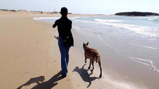 Tar disaster on the shores of Israel - A Short Documentary