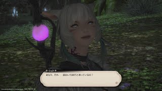 ［FF14］知識ZEROから始める第一世界生活 11日目