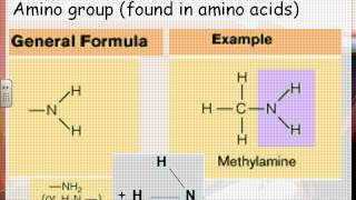 2012 HN Organic Chemistry 02 functional groups